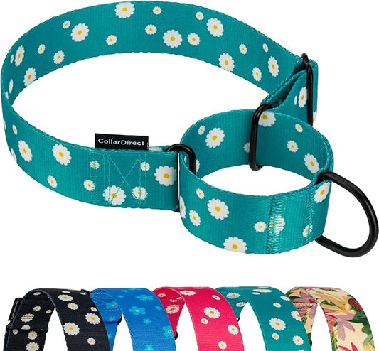 CollarDirect Martingale Collars for Dogs Heavy Duty Floral Pattern Female Safety Nylon Training Wide Collar Flower Design Large Medium (M, Neck Size 12"-17", Aquamarine)