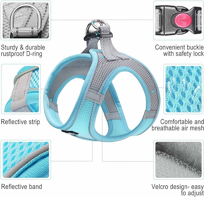 haapaw Dog Harness with Leash Set, No Pull Adjustable Reflective Step-in Puppy Harness with Thickened Padded Vest for Extra-Small/Small Medium Dogs