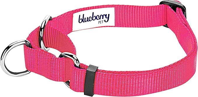 Blueberry Pet Essentials Martingale Safety Training Dog Collar, French Pink, Large, Heavy Duty Nylon Adjustable Collars for Dogs
