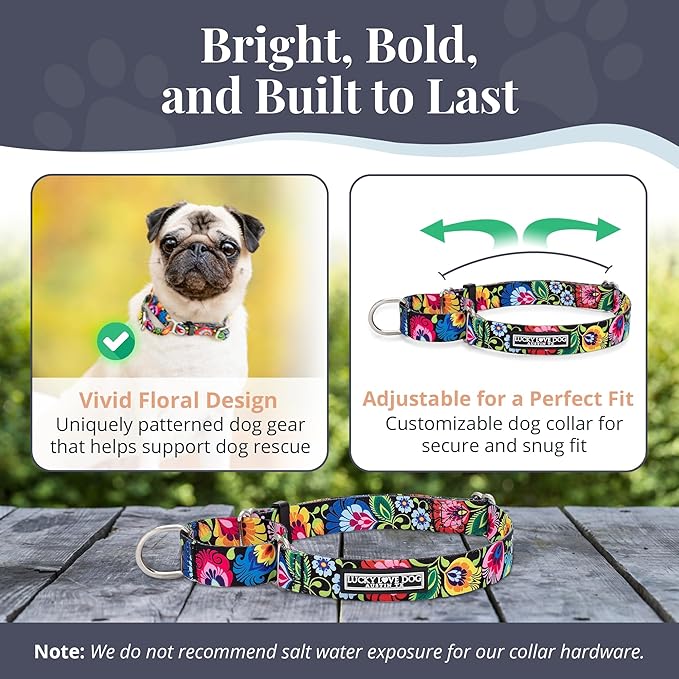 Lucky Love Dog Martingale Collar and Leash Set, Premium No Slip Collar and Leash Set, Floral Vivid Pattern Martingale Collar, Great for Whippets, Greyhounds, and More (Blackbird, Medium - Combo)
