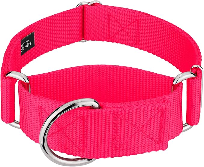 Country Brook Petz 1 1/2 Inch Martingale Heavy Duty Nylon Adjustable Dog Collar for Small, Medium, Large Breeds - Vibrant 17 Color Selection (Hot Pink, Large)