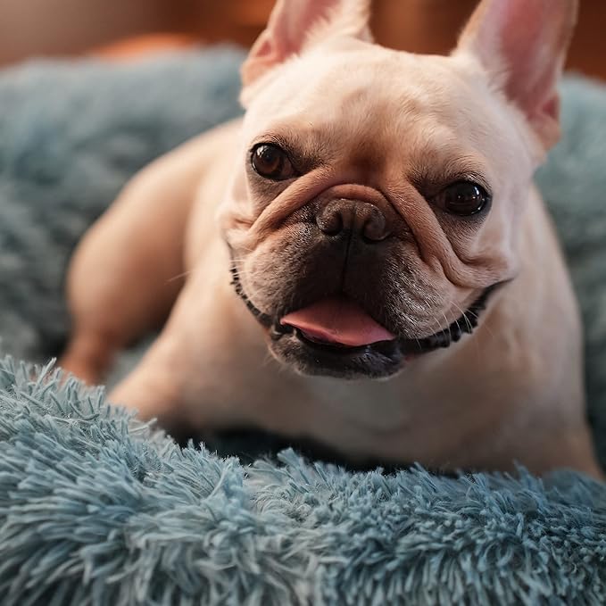 Blue Dog Bed for Small Dogs Fluffy Anti-Anxiety Dog Bed, Calming Dog Bed for Small Dogs Washble Snuggle Safe and Soft Puppy Bed for Small Dogs,Round Donut Machine Washable Small Pet Bed.