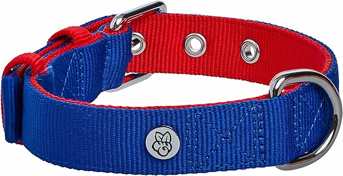 Blueberry Pet Iconic Color-Block Adjustable Dog Collar with Metal Buckle, Navy Blue and Red, Neck 13-16.5", for Medium Breed