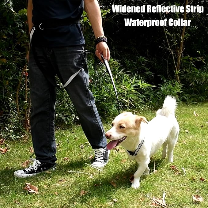 Waterproof Dog Collar Quick Release Buckle, Dog Collar with Reflective Strip Adjustable for Medium Large Dogs (Matt Black 1" W 15-20" L) (Matt Black, Large)