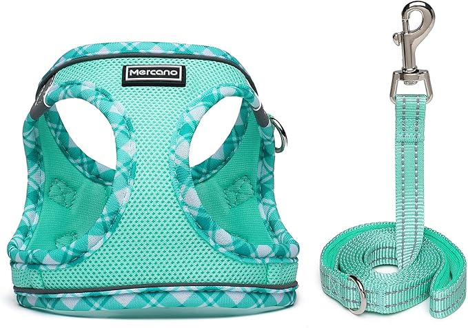 Mercano Soft Mesh Dog Harness and Leash Set, No-Chock Step-in Reflective Breathable Lightweight Easy Walk Escape Proof Vest Harnesses with Safety Buckle for Small Medium Dogs, Cats (Light Green, XXS)