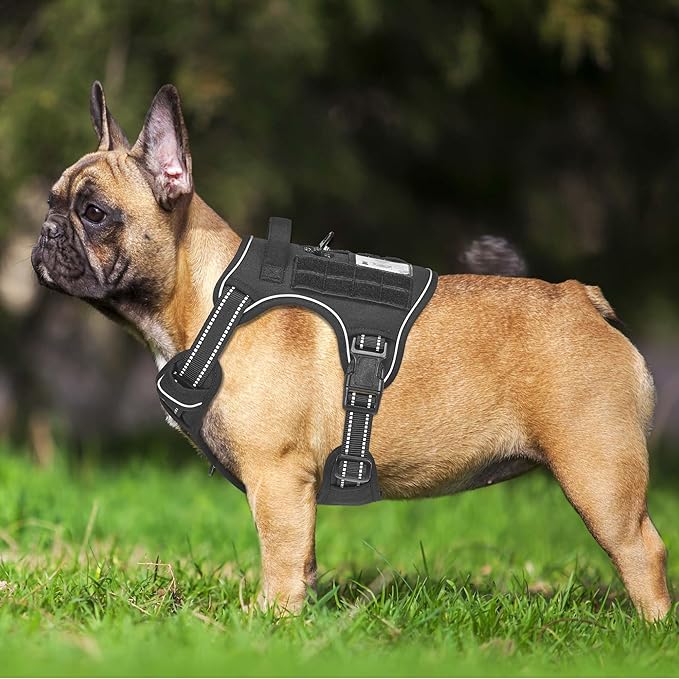 Heavy Duty Tactical Dog Harness for Small Dogs, No Pull Adjustable Pet Harness Reflective Service Training Easy Control Pet Vest Military K9 Working Dog Harnesses- Small, Black