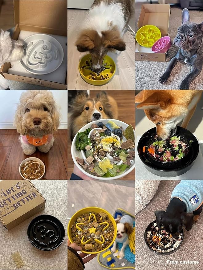 LE TAUCI Ceramic Slow Feeder Dog Bowls Elevated, 0.6 Cups Raised Dog Bowl with Wooden Stand for Small Breed, Dog Dishes to Slow Down Eating, Puzzle Dog Food Bowl, Skull Black