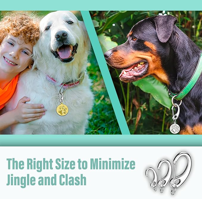 Divoti Leash King Pet Tag Quick Clip/Sping-Load Hook Combo for Pet ID Tags - 2 Medim w/Pack of Split Rings