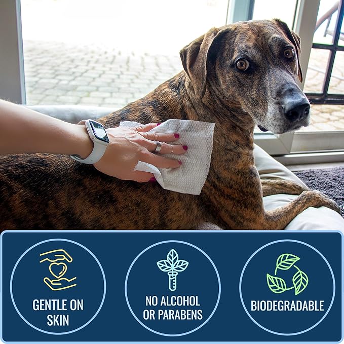 HealthSmart Dog & Cat Grooming Wipes, Alcohol and Paraben Free, Gentle on Skin, 100% Biodegradable, 100 Count, Deodorizing, Great for Paws, Ears, and Butt