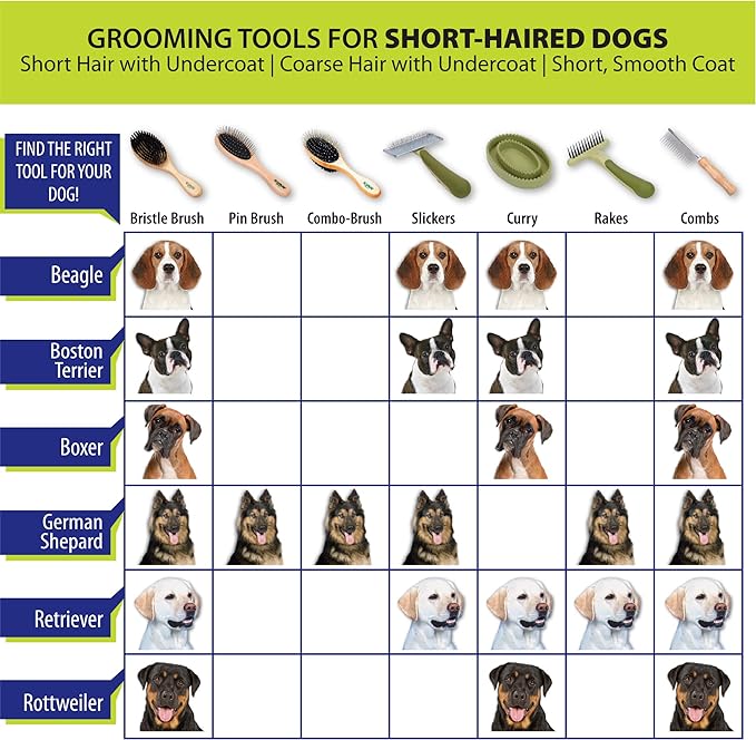 Coastal Pet Safari Comfort Grip Curry Brush for Dogs - Dog Bath and Shampoo Brush and Massager for Indoor & Outdoor Dogs with Short Hair - One Size