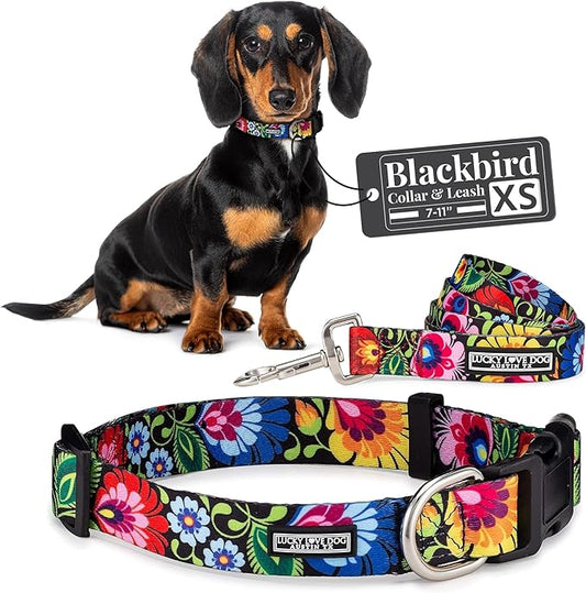 Lucky Love Dog - Easy Click Buckle Dog Collar with Leash Set Combo, Durable & Comfortable Collar for Male & Female Dogs, Pet Collar for Small to Large Dogs, Secure Fit - Blackbird Combo, X-Small