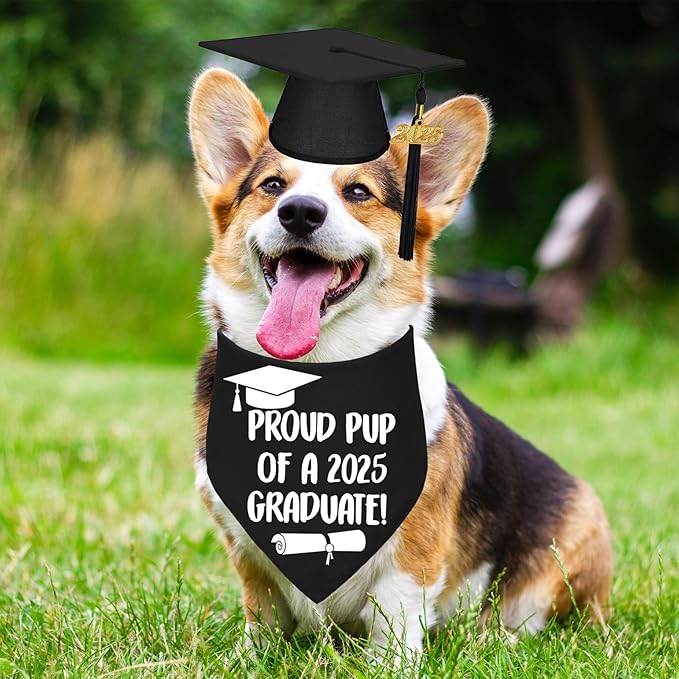 STMK Dog Graduation Cap and Bandana With 2025 Tassels - Outfits and Gifts for Small, Medium, Large Dogs (Black, Cap & Proud Pup of A Graduate)