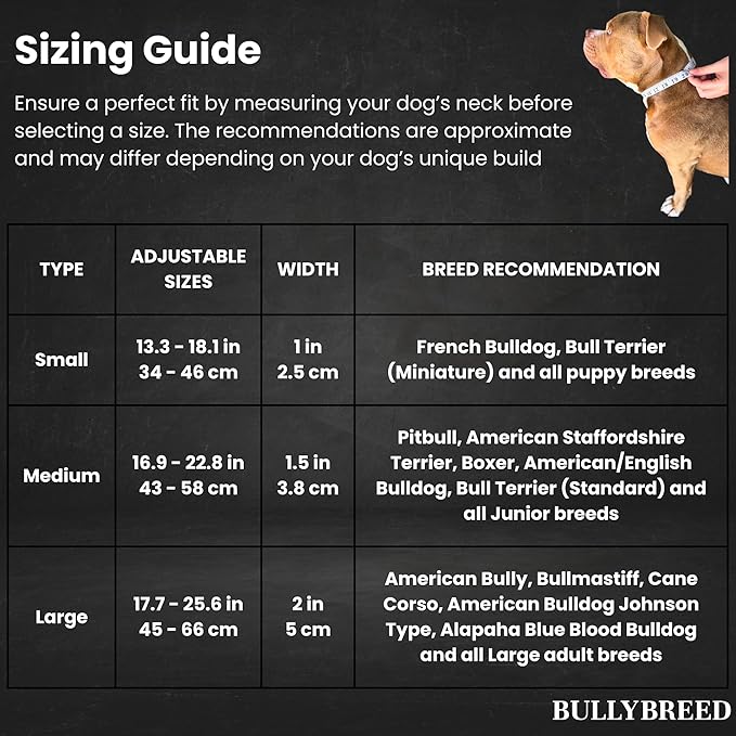 BULLYBREED Premium Dog Colar with Handle, Heavy Duty Dog Collar, Tactical Dog Collar, Quick-Release Metal Buckle, Thick Dog Collar, Dog Collar for Medium Dogs, Dog Collar for Large Dogs (Brown, M)