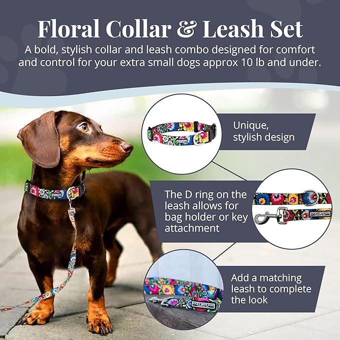 Lucky Love Dog - Easy Click Buckle Dog Collar with Leash Set Combo, Durable & Comfortable Collar for Male & Female Dogs, Pet Collar for Small to Large Dogs, Secure Fit - Blackbird Combo, X-Small