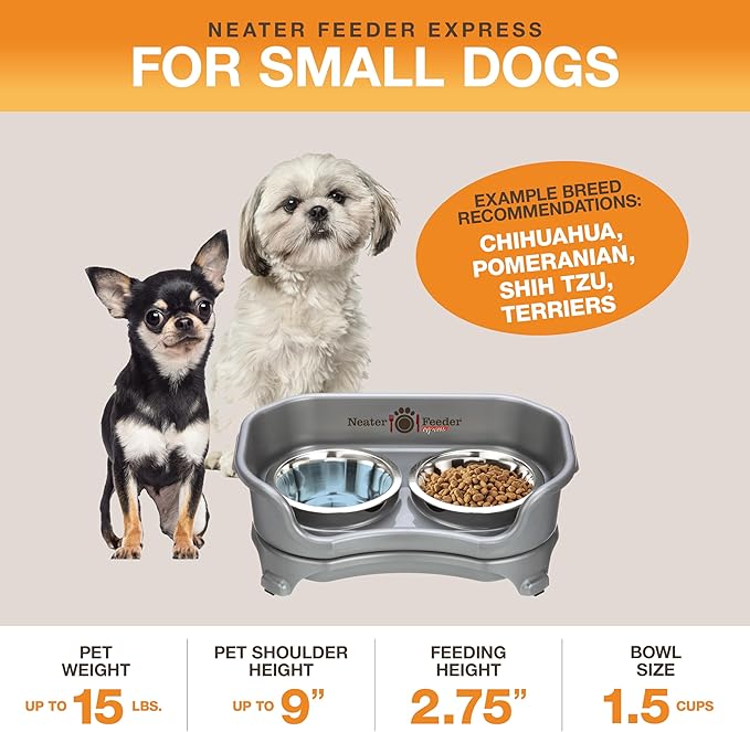 Neater Feeder Express Mess Proof Dog Bowls Elevated for Small Breeds Under 15 Lb, Made in USA, No Spill Raised Dog Food Bowl Stand, Stainless Steel Food and Water Bowl Set, Feeding Station, Grey