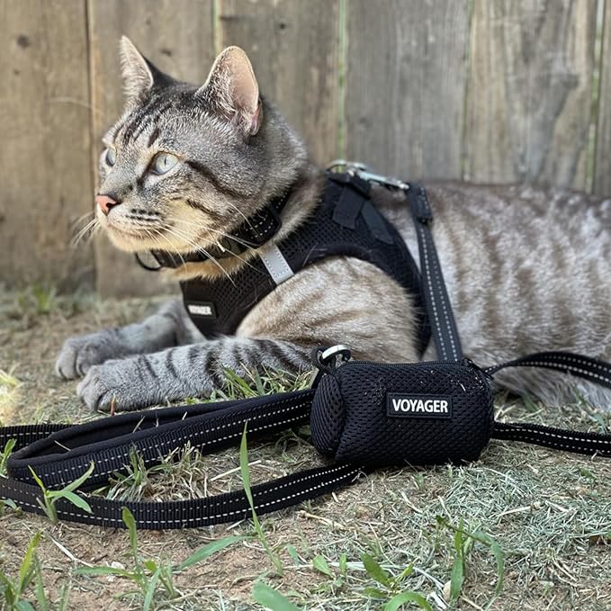 Voyager Step-in Air Dog Harness - All Weather Mesh, Reflective, No Pull Harness for Small, Medium Dogs, Cats - Secure with Hook & Loop Fastener, Buckle, Double D-Rings - Black, XXXS