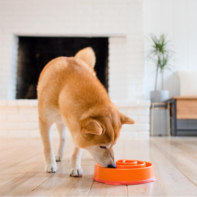 Outward Hound Fun Feeder Slow Bowl in Orange Plastic for Dogs