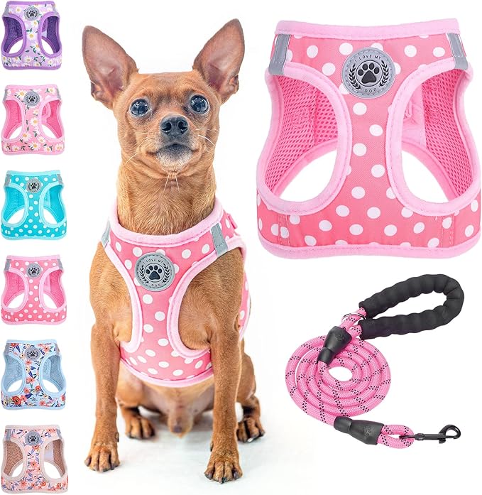 BEAUTYZOO Step in Dog Harness and Leash Set, Polka Dot Pattern Reflective Dog Harness No Pull No Choke Puppy Harness for XXS XS S Dogs Cats, Soft Padded Mesh Vest Harnesses for Girl and Boy Pets