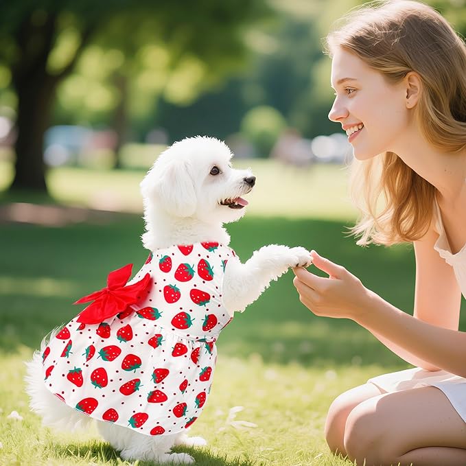 choyaxo Floral Dog Dress Cute Dog Skirt Pet Dress Summer Pet Clothes for Puppy Small Cats