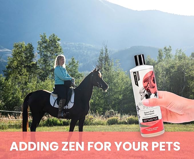 Holistic Natural Derived Goji Berry & Jujube Pet Shampoo: Veterinarian Recommended - Energy & Wellness for Your Dog, Cat and Horse Coat - Made in USA - 16 oz