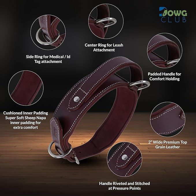 Leather Dog Collar with Handle, 2 Inch Wide Saddle Grade Cherry Leather Dog Collar for Large Dogs | Heavy Duty, Comfortable, Inner Soft Padded | (L (Fit Neck Size 18.5"-22.5"), Cherry)