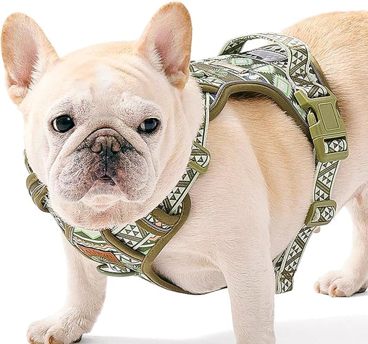 Light Dog Harness for Small Dog Breeds, No-Pull Pet Harness with 2 Leash Clips, Adjustable Soft Padded Dog Vest, Reflective No-Choke Pet Oxford Vest, Puggle, Terriers, Beagle, Green Ethnic, Small