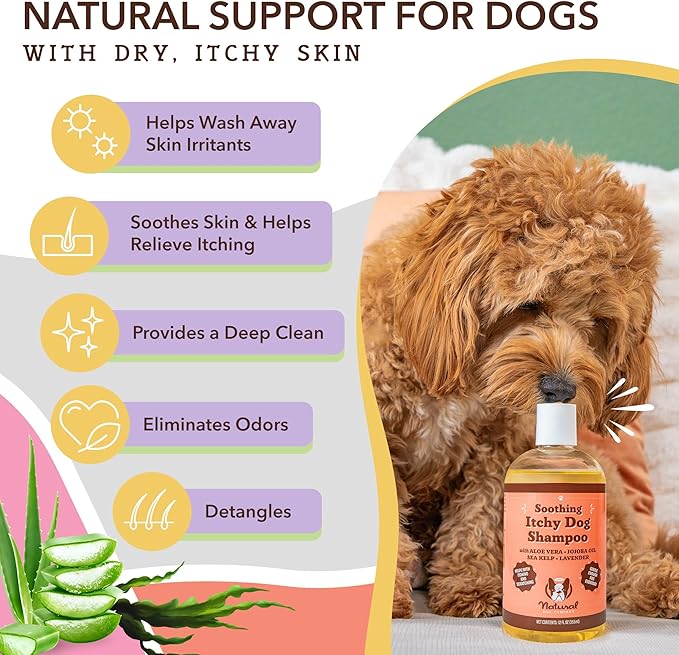 Natural Dog Company Itchy Dog Shampoo, 12 oz., Dog Dry Skin Treatment, Dog Itch Relief, Hypoallergenic, Plant Based Ingredients, Deodorizing Dog Shampoo, Relief from Skin Allergy Symptoms