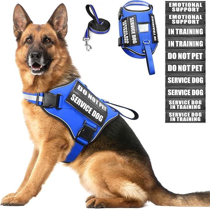 Service Dog Harness and Leash Set, Training Dog Vest with 10 Dog Patches, Emotional Support Therapy Dog Vest Harness for Small Medium Large and Extra Large Dogs(Blue, XL)