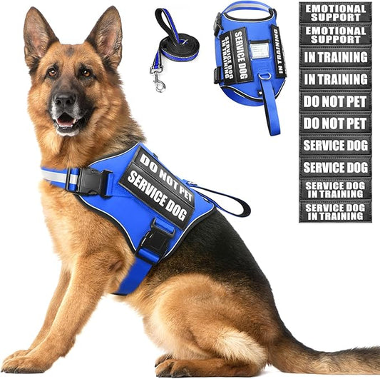 Service Dog Harness and Leash Set, Training Dog Vest with 10 Dog Patches, Emotional Support Therapy Dog Vest Harness for Small Medium Large and Extra Large Dogs(Blue, XL)
