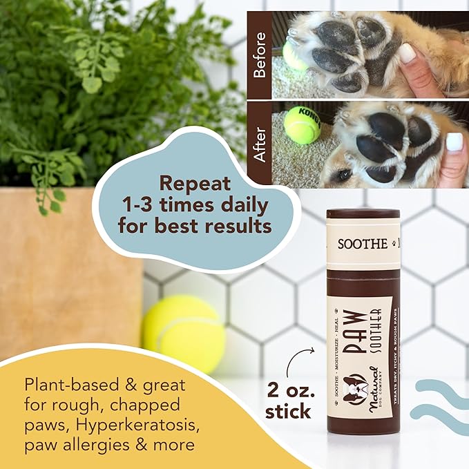 Natural Dog Company Powerhouse Bundle, Includes 4 Healing Balms that Relieve Skin Irritations, Cracked Paws and Dry Noses, Organic, All Natural Ingredients, 0.15oz Trial Sticks