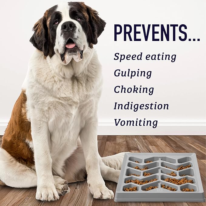 Leash Boss Slow Feeder Dog Bowl for Flat Face Breeds, Tilted Slow Feed Bowl for Dogs & Cats, Slanted Maze Food Bowl for French Bulldogs, Pugs, Boston Terriers, Flat Face Dog Bowls Large, Small Breed