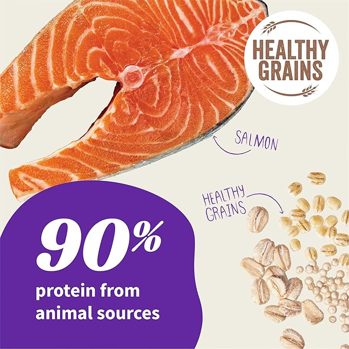 Halo Elevate Dry Dog Food, Healthy Grains Salmon Recipe, 20lb