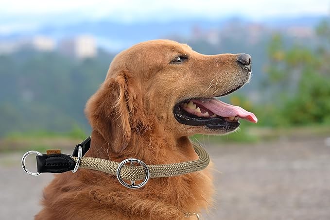 Braided Collar, Pro Training Dog Collar, No Pull Round Collar, Slip Collar with Slidable Stop Ring - Ideal for Medium/Large Dogs (M+(1/2") - 18" Long, Khaki)