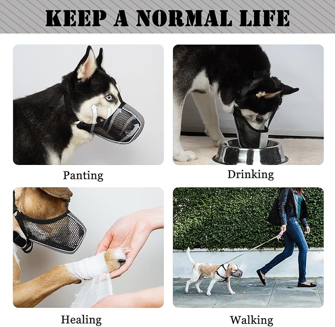 Mayerzon Dog Muzzle, Patented Mesh Soft Muzzle for Large Medium Small Dogs for Scavenging Grooming Biting Chewing, Breathable Reflective Doberman Husky Muzzle with Collar for Labrador Retriever Poodle