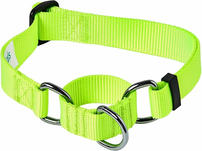 Blueberry Pet Essentials Martingale Safety Training Dog Collar, Highlighter Yellow, Small, Heavy Duty Nylon Adjustable Collars for Dogs