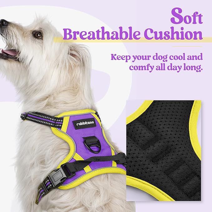 rabbitgoo Dog Harness, No-Pull Pet Harness with 2 Leash Clips, Adjustable Soft Padded Dog Vest, Reflective No-Choke Pet Oxford Vest with Easy Control Handle for Large Dogs, Purple & Yellow, XS