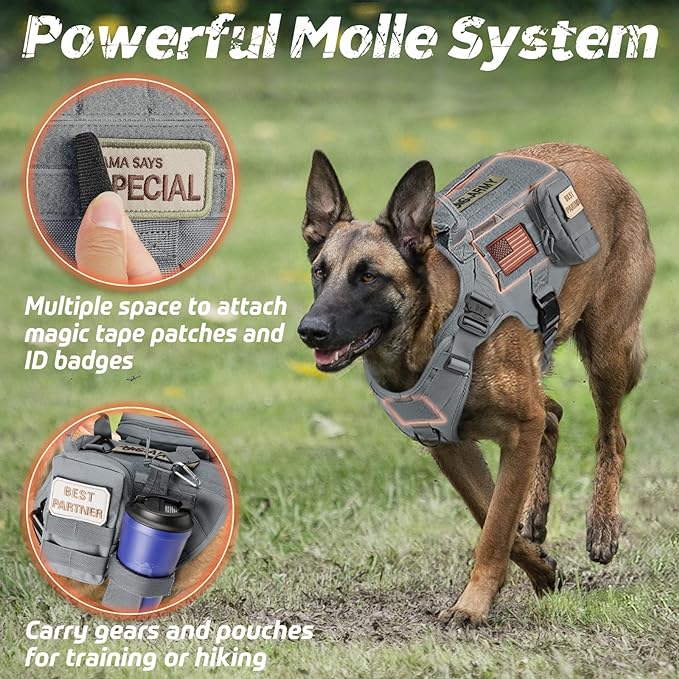 rabbitgoo Tactical Dog Harness for Large Dogs, Heavy Duty Dog Harness with Handle, No-Pull Service Dog Vest Large Breed, Adjustable Military Dog Vest Harness for Training Hunting Walking, Grey, S