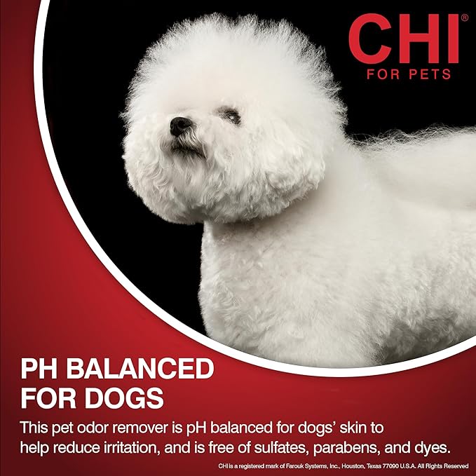 CHI For Dogs Deodorizing No-Rinse Foam, 8 Fl Oz Pump Bottle, Made in The USA, Sulfate & Paraben Free Pet Odor Eliminator Foam, Dry Shampoo for Dogs