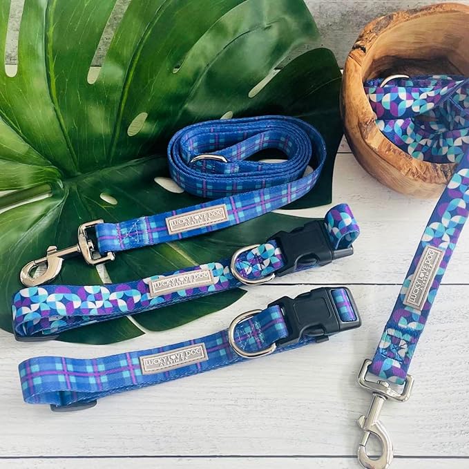 Lucky Love Dog Patterned Dog Collar - Adjustable, Durable, Soft Webbing, & Comfortable Dog Collar for Male and Female Dogs - Cool Dog Collar in Jasper Pattern with Strong Buckle, Large Size