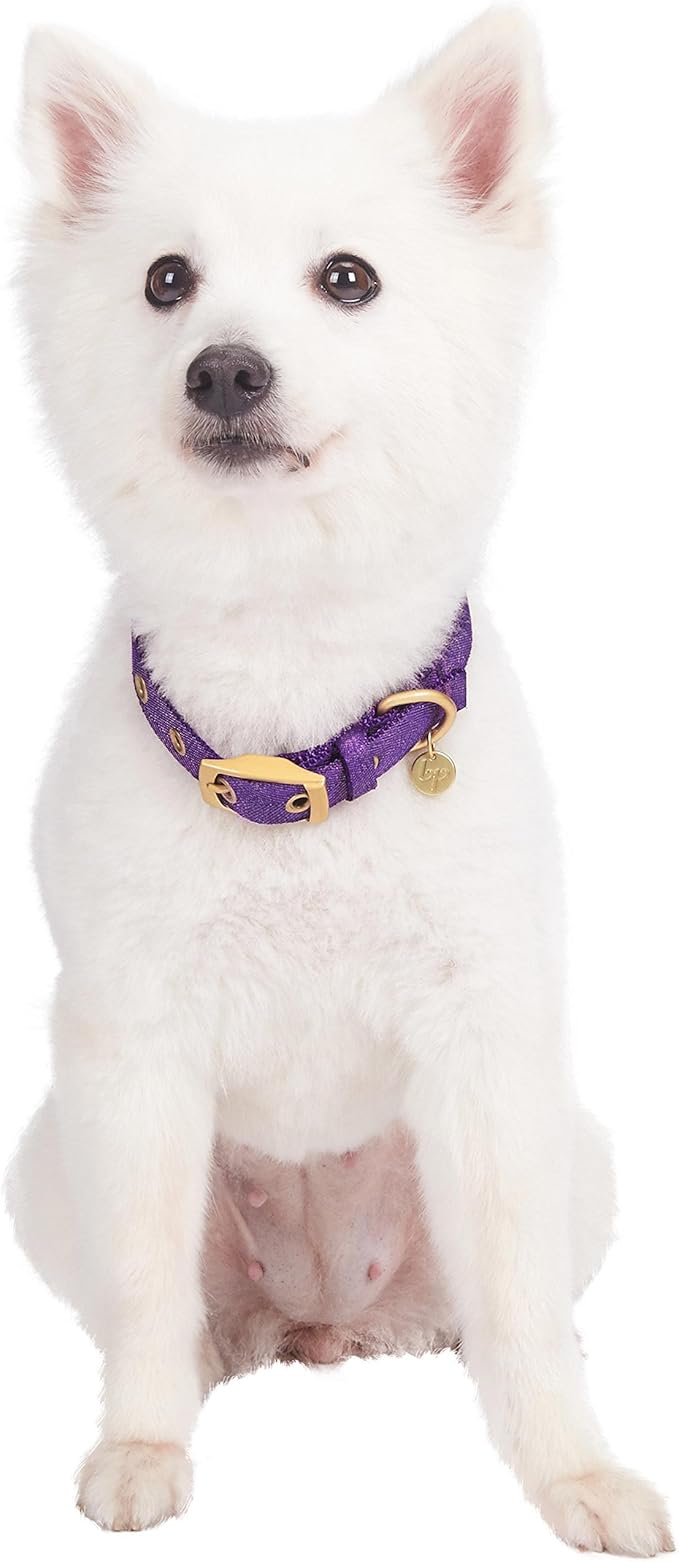 Blueberry Pet 6 Colors The Most Coveted Designer Mixed Metallic Thread Adjustable Dog Collar in Dazzling Tinsel Purple with Metal Buckle, Neck 17-20.5", for Large Breed