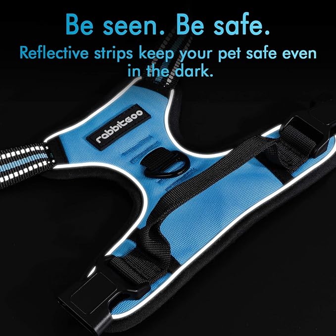 rabbitgoo Dog Harness, No-Pull Pet Harness with 2 Leash Clips, Adjustable Soft Padded Dog Vest, Reflective No-Choke Pet Oxford Vest with Easy Control Handle for Medium Dogs, Blue, M
