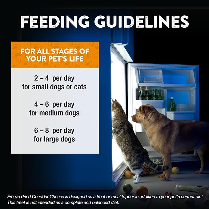 Northwest Naturals Raw Rewards Freeze-Dried Cheddar Cheese Treats for Dogs and Cats - Bite-Sized Pieces - Healthy, 1 Ingredient, Human Grade Pet Food, All Natural - 6 Oz