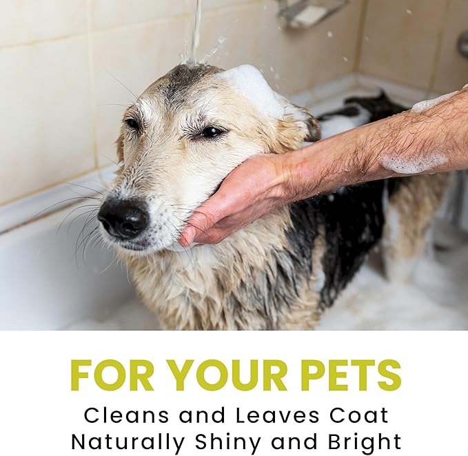 Dog Shampoo – Cleansing Wash, Conditioning, Moisturizing – Healthy Ingredients – Aromatic Grooming Puppy Shampoo – Tearless Cleaner, Lemongrass Vanilla Bean