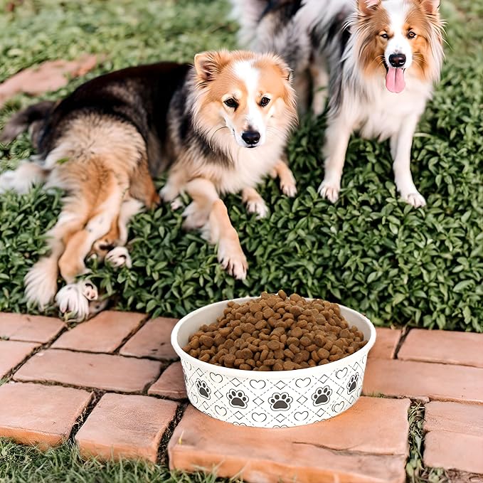 SOUJOY 40Pcs Disposable Pets Bowls, 16 oz Paper Dog Food Bowl, Cute Foot Print Design Travel Cat Feeding Bowl for Small Dog Puppy Dry and Wet Food or Water
