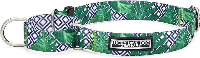 Lucky Love Dog Martingale Collar, Premium No Slip Martingale Collar for Medium Boy Dogs, Great for Whippets, Greyhounds, and More (Medium, Blue Laguna)