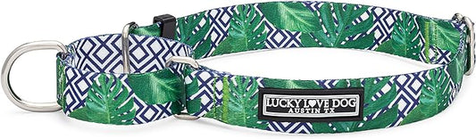 Lucky Love Dog Martingale Collar, Premium No Slip Martingale Collar for Medium Boy Dogs, Great for Whippets, Greyhounds, and More (Medium, Blue Laguna)