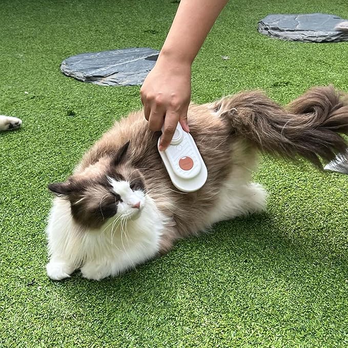 Cat Steam Brush for Shedding, Steam Brush for Indoor Cats, Water Brush, Cat Spray Mist Massaging Brush, Pet Hair Removal Brush, Suitable for Cats, Dogs and Rabbits, Cat Cleaning Brush