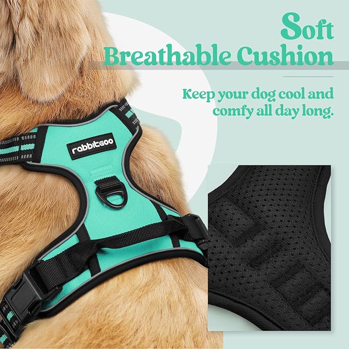 rabbitgoo Dog Harness, No-Pull Pet Harness with 2 Leash Clips, Adjustable Soft Padded Dog Vest, Reflective No-Choke Pet Oxford Vest with Easy Control Handle for Medium Dogs, Turquoise, M