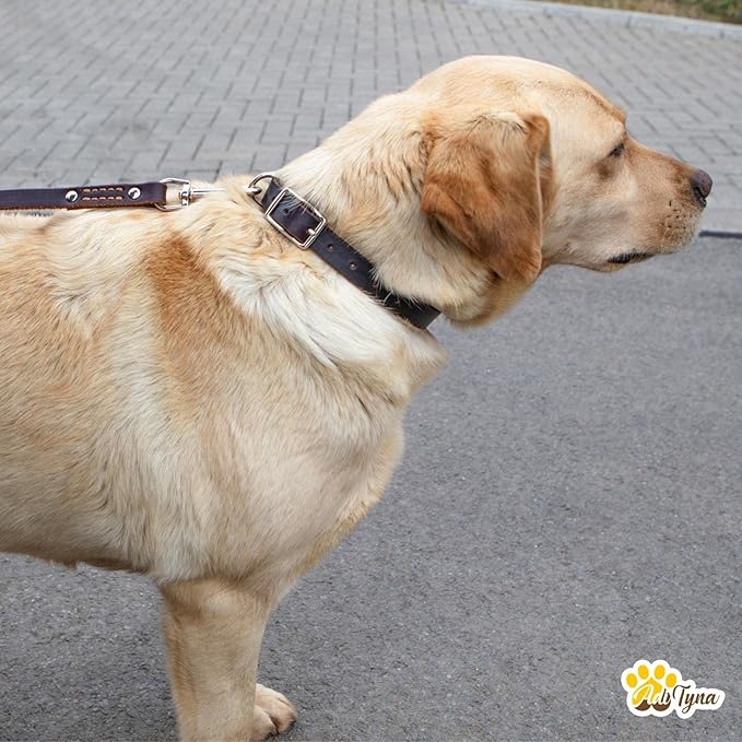 ADITYNA - Black Leather Dog Collar for Small Dogs - Classic Style, Soft and Strong, Heavy Duty, Top-Grain Leather, Handmade (S - Neck: 12-16 inches, Black)