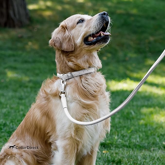 CollarDirect Rolled Leather Dog Collar, Soft Padded Round Puppy Collar, Handmade Genuine Leather Collar Dog Small Large Cat Collars 13 Colors (8-11 Inch, White Textured)